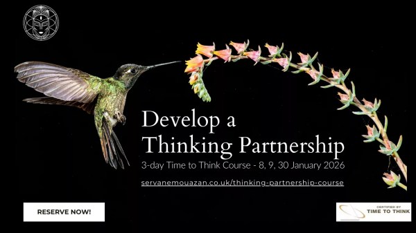 Develop a Thinking Partnership - A Humming Bird harvesting nectar from a flower - Servane Mouazan