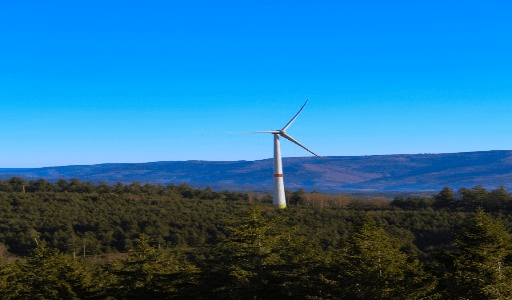 A falta de recursos levava ao reaproveitamento de materiais, estimulando a criatividade e práticas sustentáveis. Além disso, os artesãos buscavam produzir peças duráveis, exigindo conhecimento técnico e atenção constante para garantir qualidade e resistência.