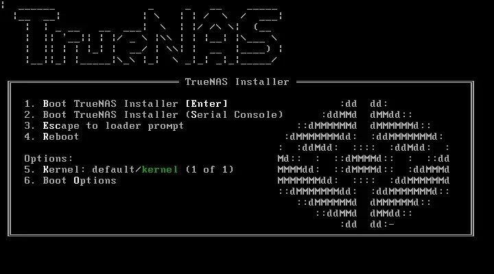 TrueNAS install wizard