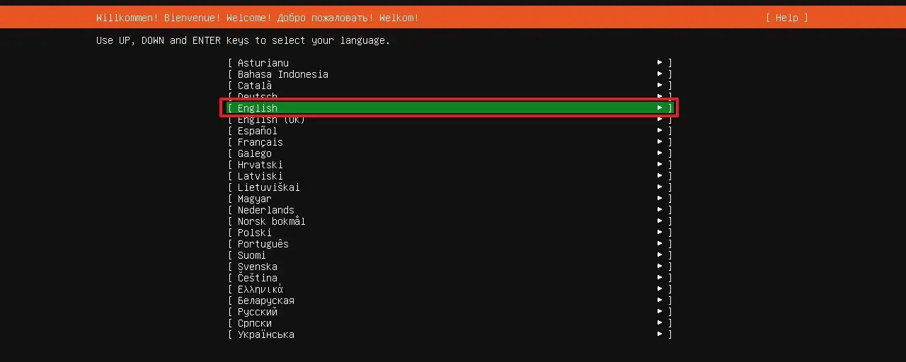 Select installation language