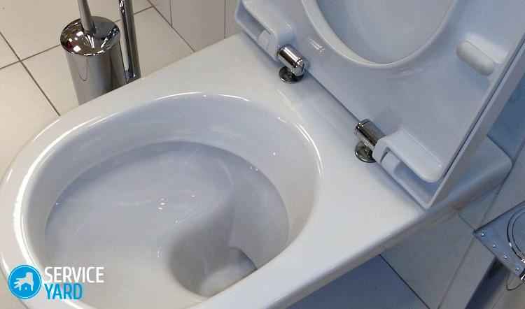 скрипит стульчак унитаза что делать. Смотреть фото скрипит стульчак унитаза что делать. Смотреть картинку скрипит стульчак унитаза что делать. Картинка про скрипит стульчак унитаза что делать. Фото скрипит стульчак унитаза что делать скрипит стульчак унитаза что делать. Смотреть фото скрипит стульчак унитаза что делать. Смотреть картинку скрипит стульчак унитаза что делать. Картинка про скрипит стульчак унитаза что делать. Фото скрипит стульчак унитаза что делать