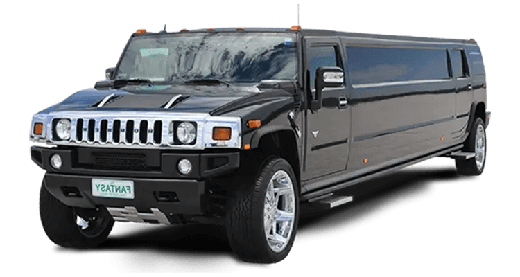 ses chauffeurs /our fleet / ses chauffeurs