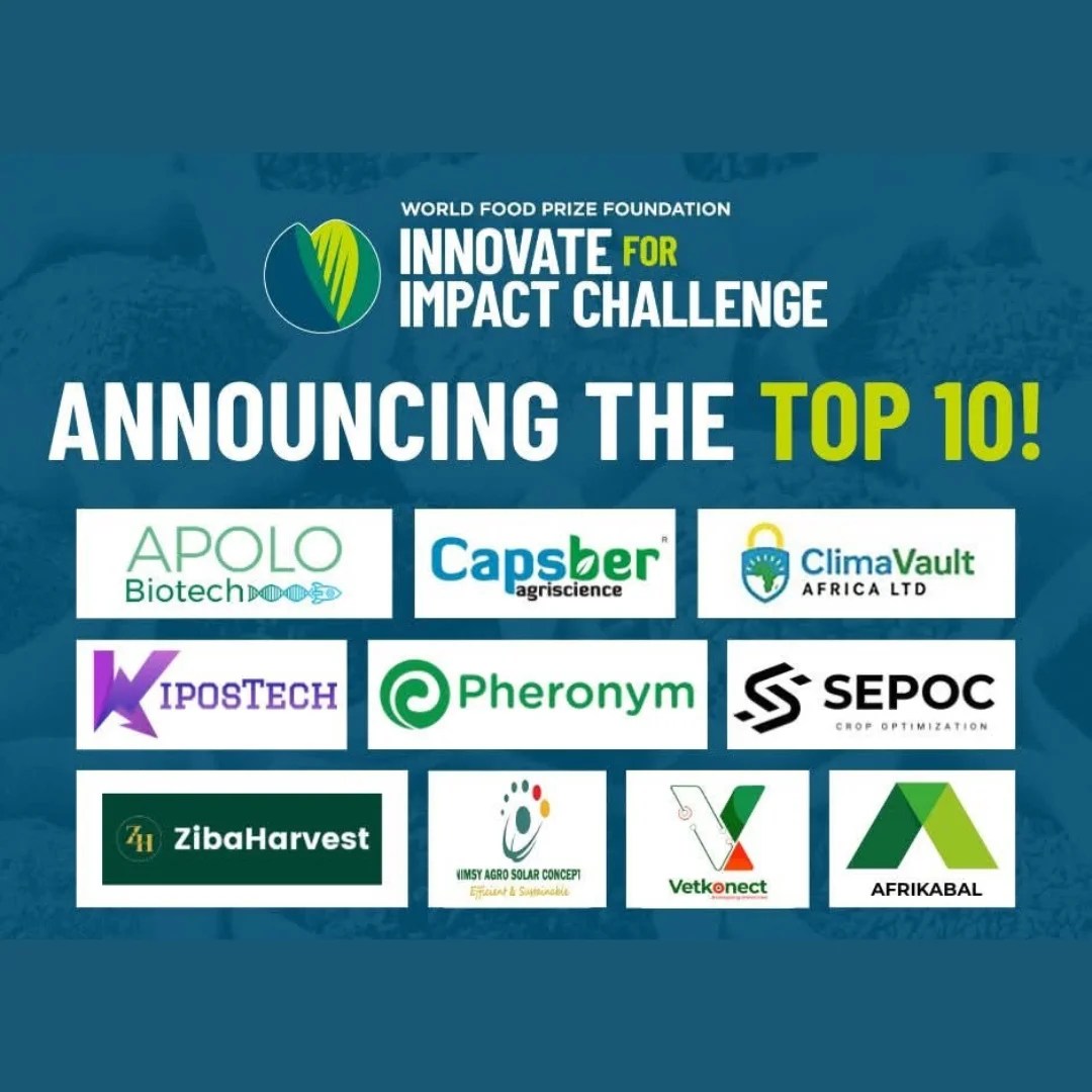 Innovate for Impact Challenge