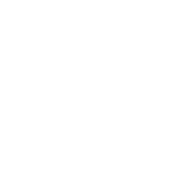 Certified Georgia SBSD Minority Owned