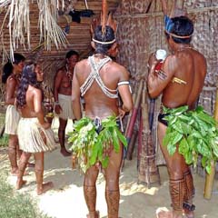 Índios