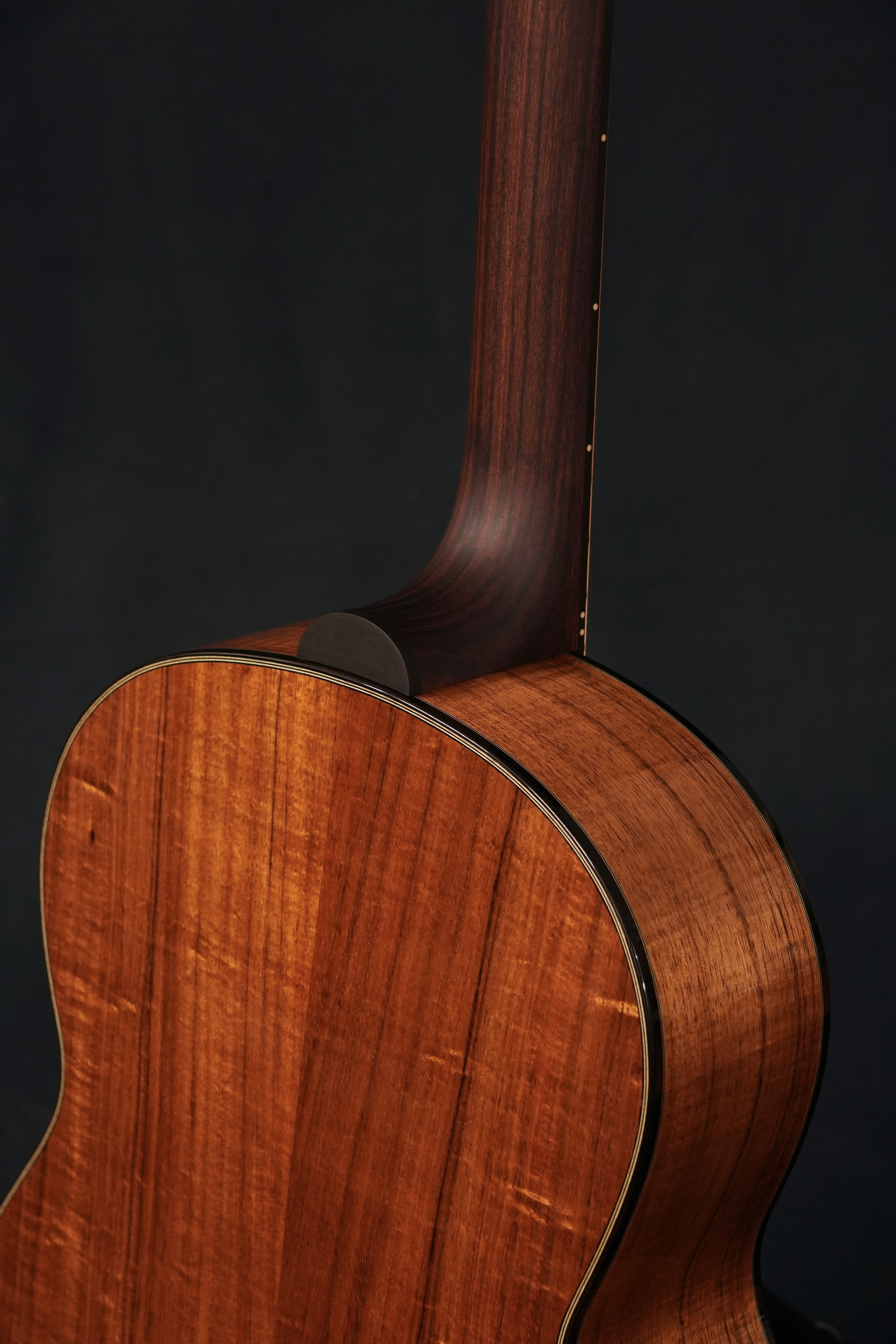 003 - Blackwood and Cedar