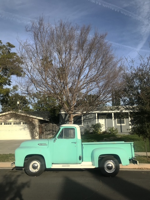 Mint Pickup (2025)