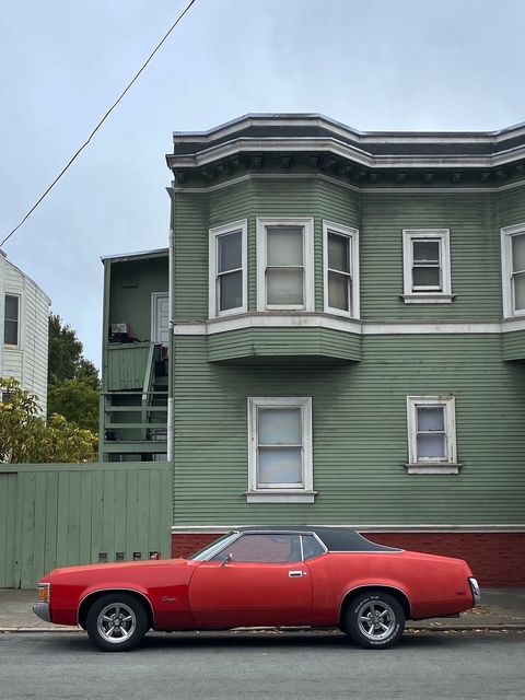 Red Cougar (2025)