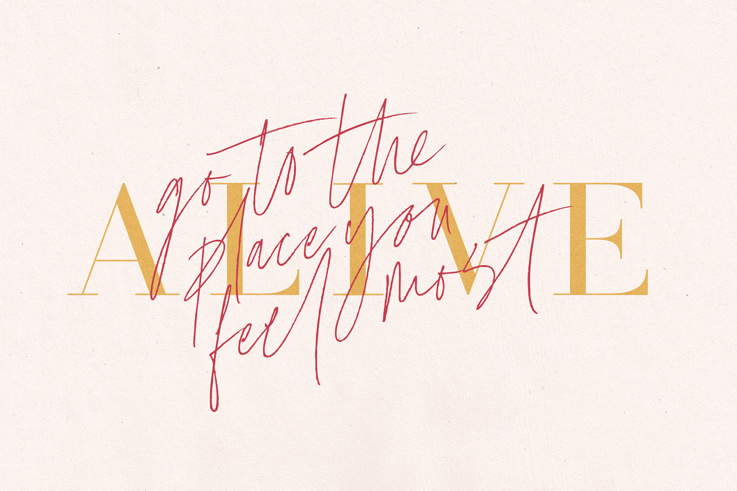 Think your site could be enhanced with a weblog? Coral Blush Font Duo Set Sail Studios