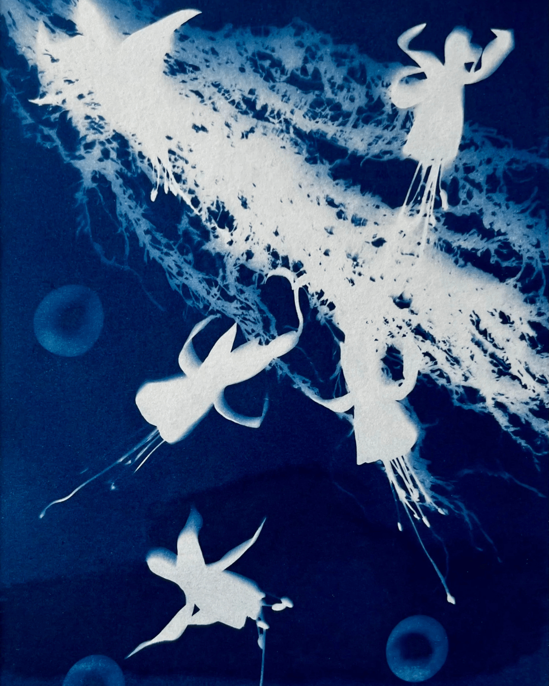 Cyanotype Printing Workshop