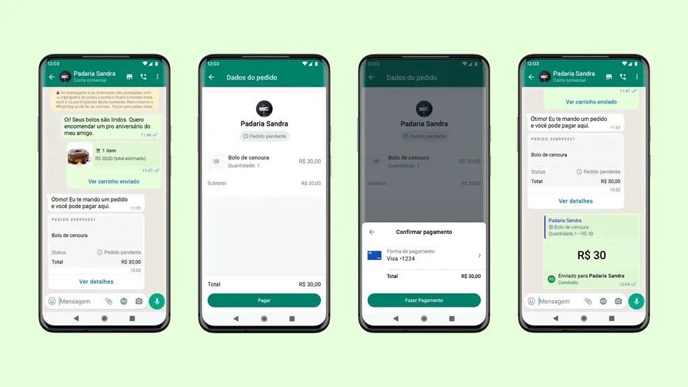Imagem de compra pelo WhatsApp com bandeira visa liberada pelo BC

