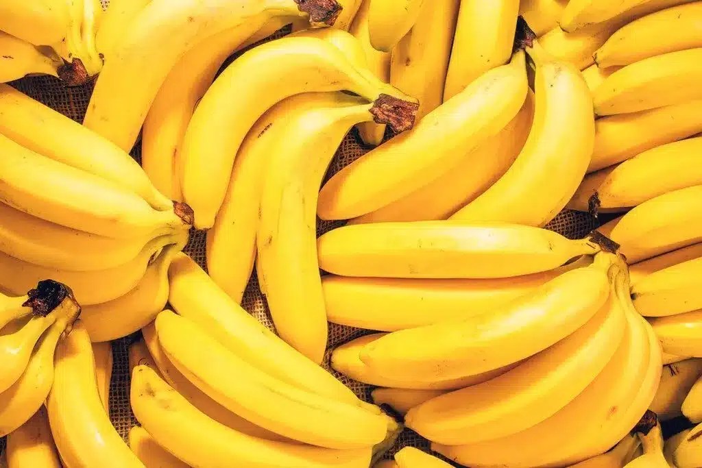 quantas bananas pode comer