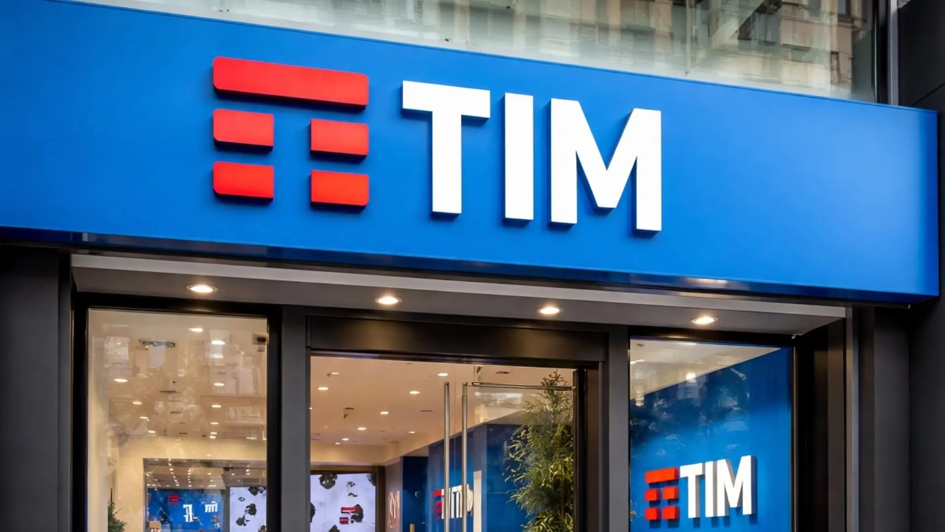 TIM beta