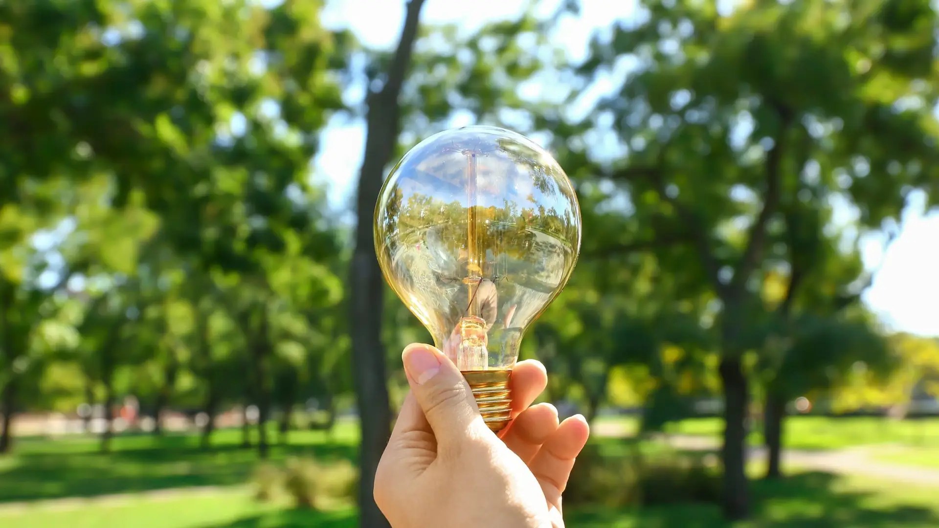 Lire la suite à propos de l’article 10 gestes pour un quotidien responsable