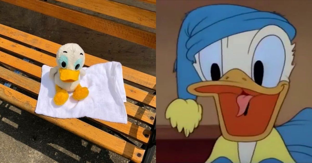 Anybody Lost Their Donald Duck This Japanese Museum Is Taking Care Of It For Its Owner For 30 Years Sevenpie Com Because Everyone Has A Story To Tell