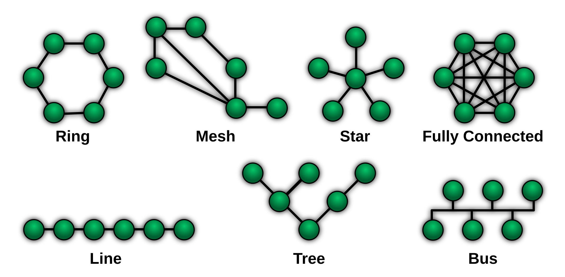 Types of network topology: Ring (bunch of points connected in a ring), Mesh (messy bunch of points kinda connected to each other), Star (bunch of points connected to a central point), Fully Connected (bunch of points connected to all other points), Line (points in a line, just connected to the one next to them), Tree (points connected branching out from points beneath them) and Bus (line with all points branching off of it).