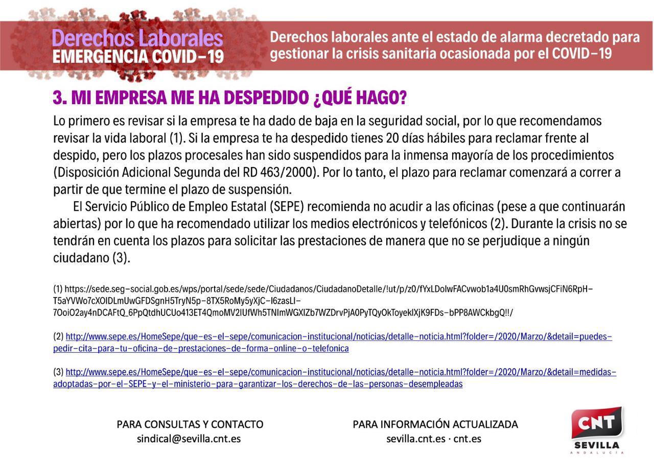 infografia2