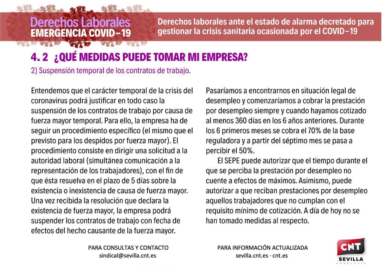infografia3