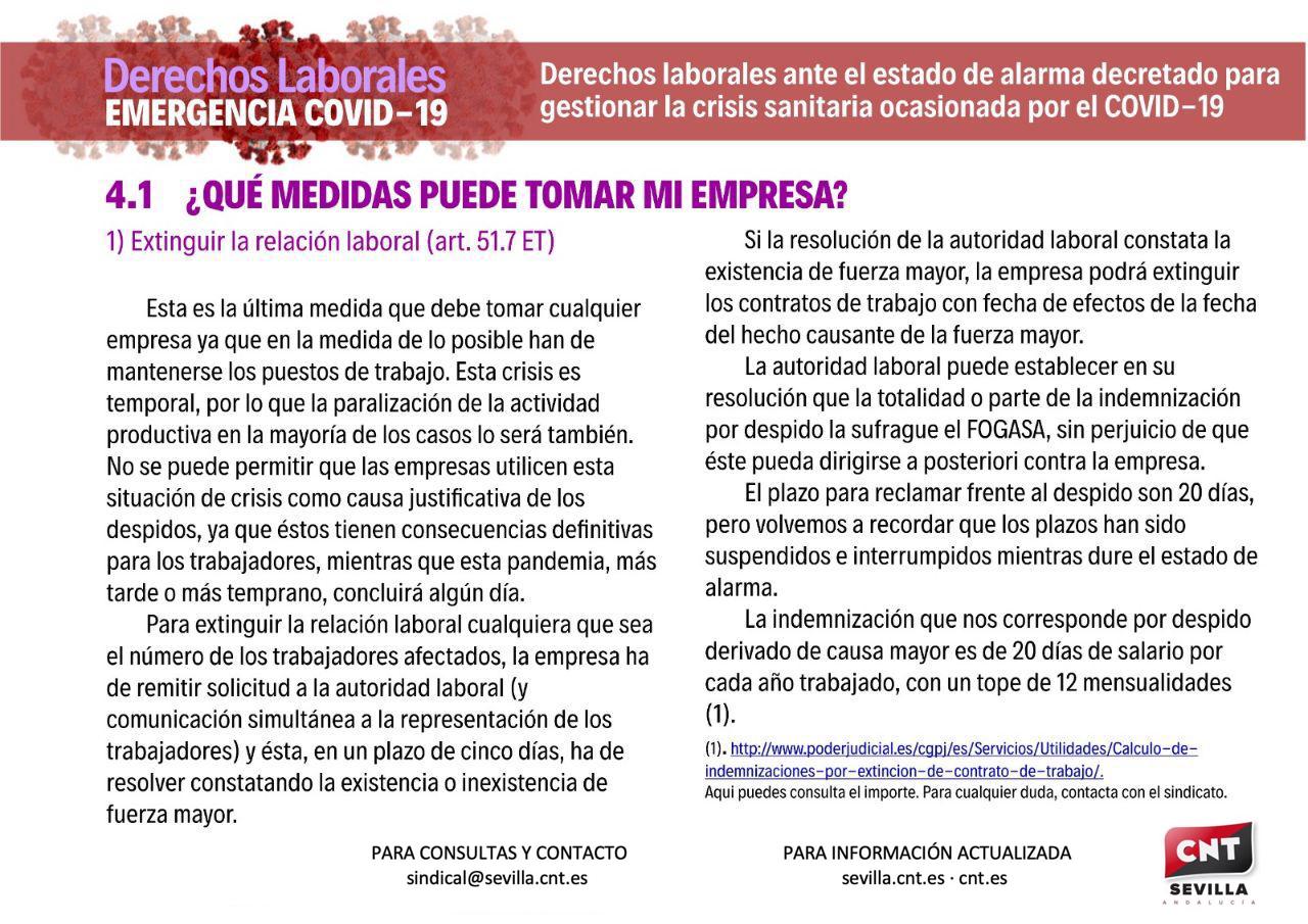 infografia4