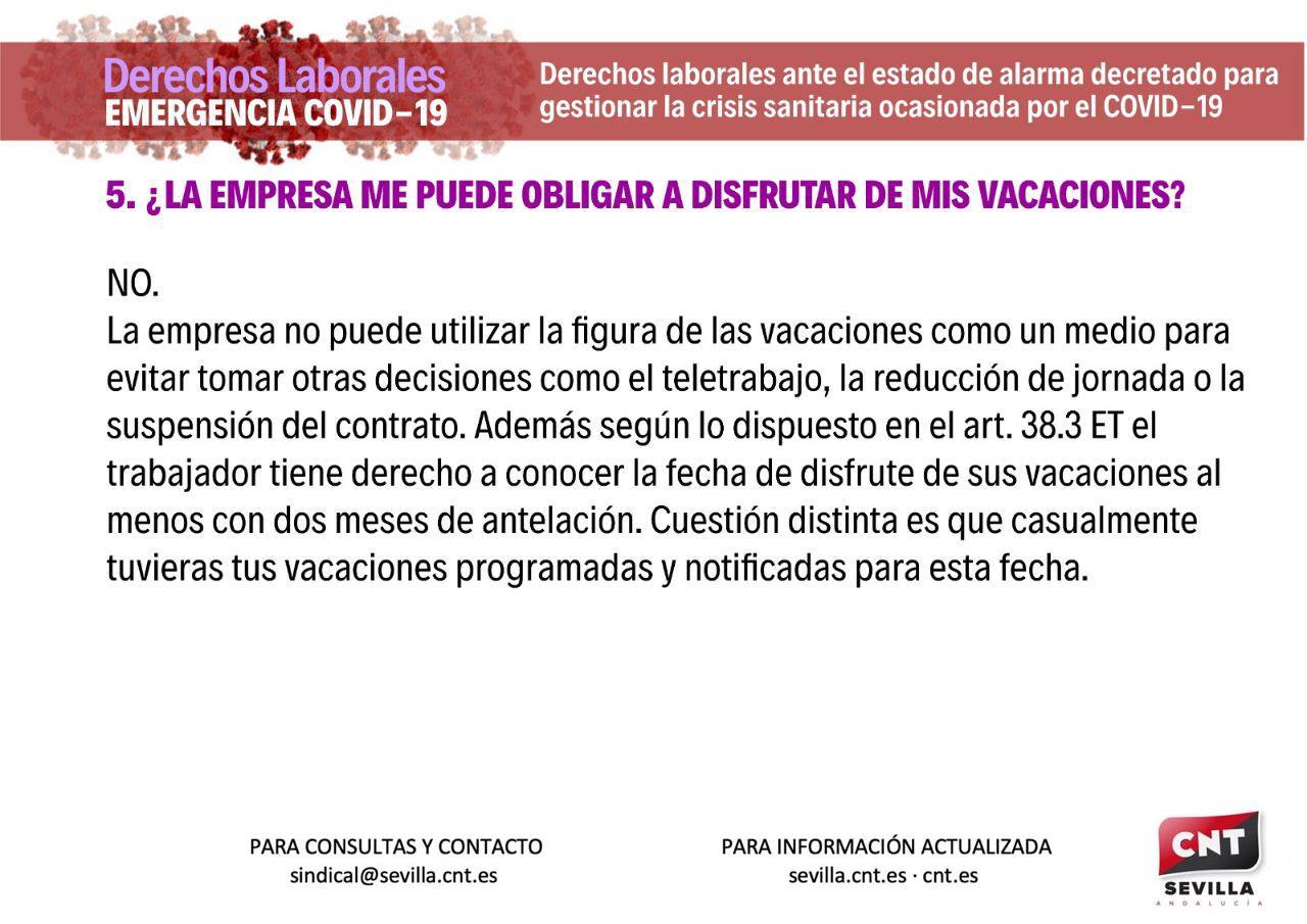 infografia5