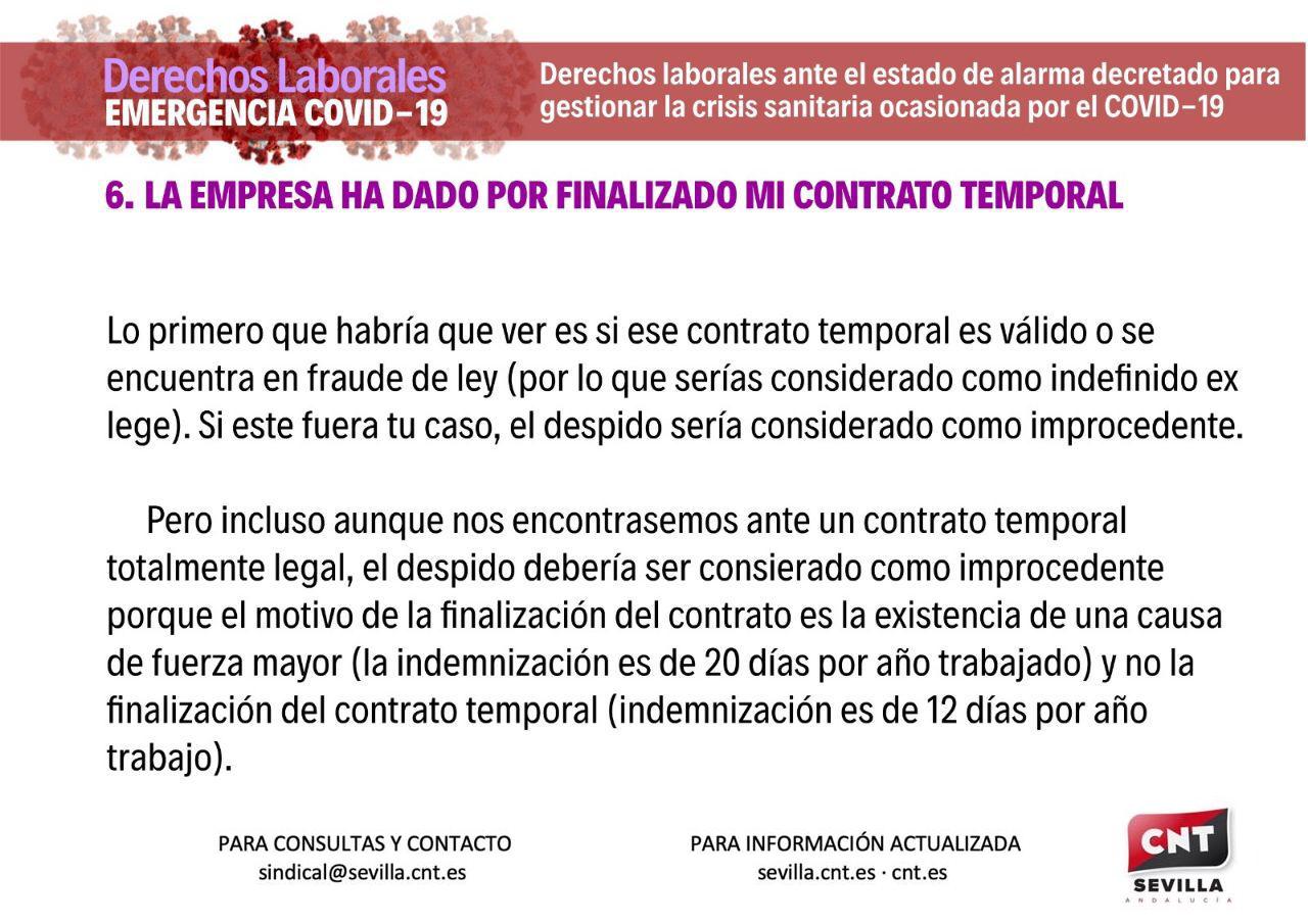 infografia6