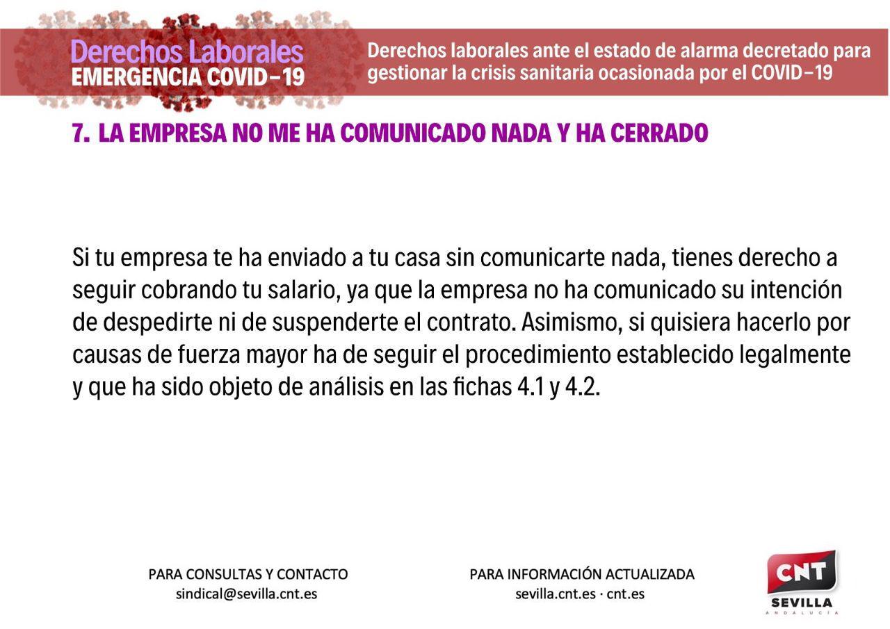 infografia7