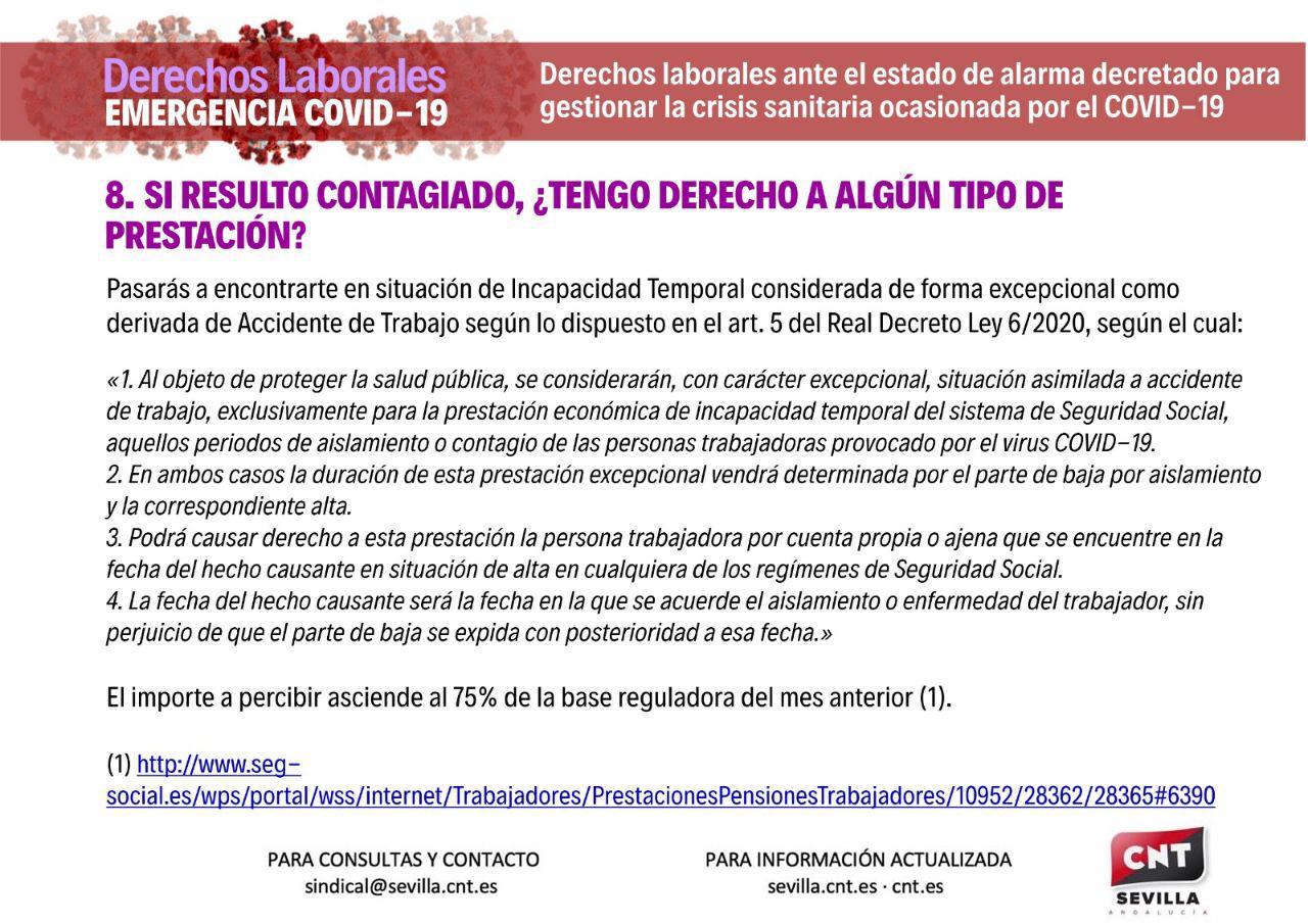 infografia8