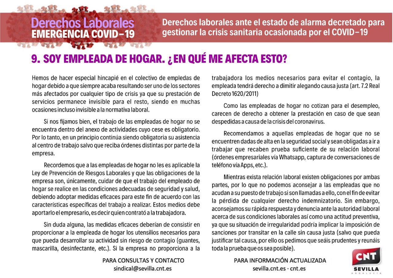 infografia9