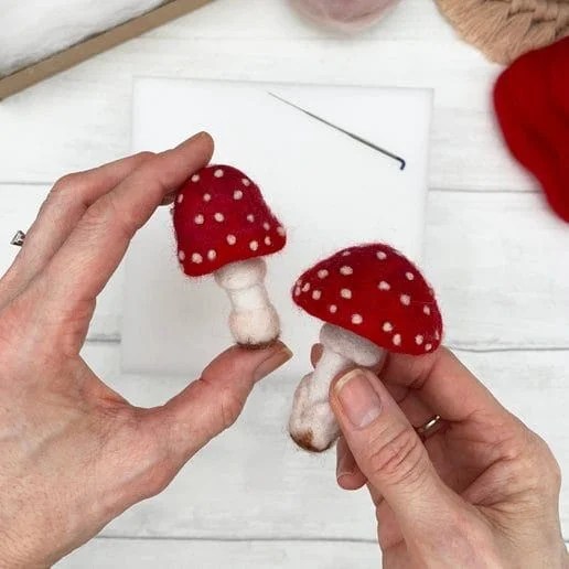 toadstools3