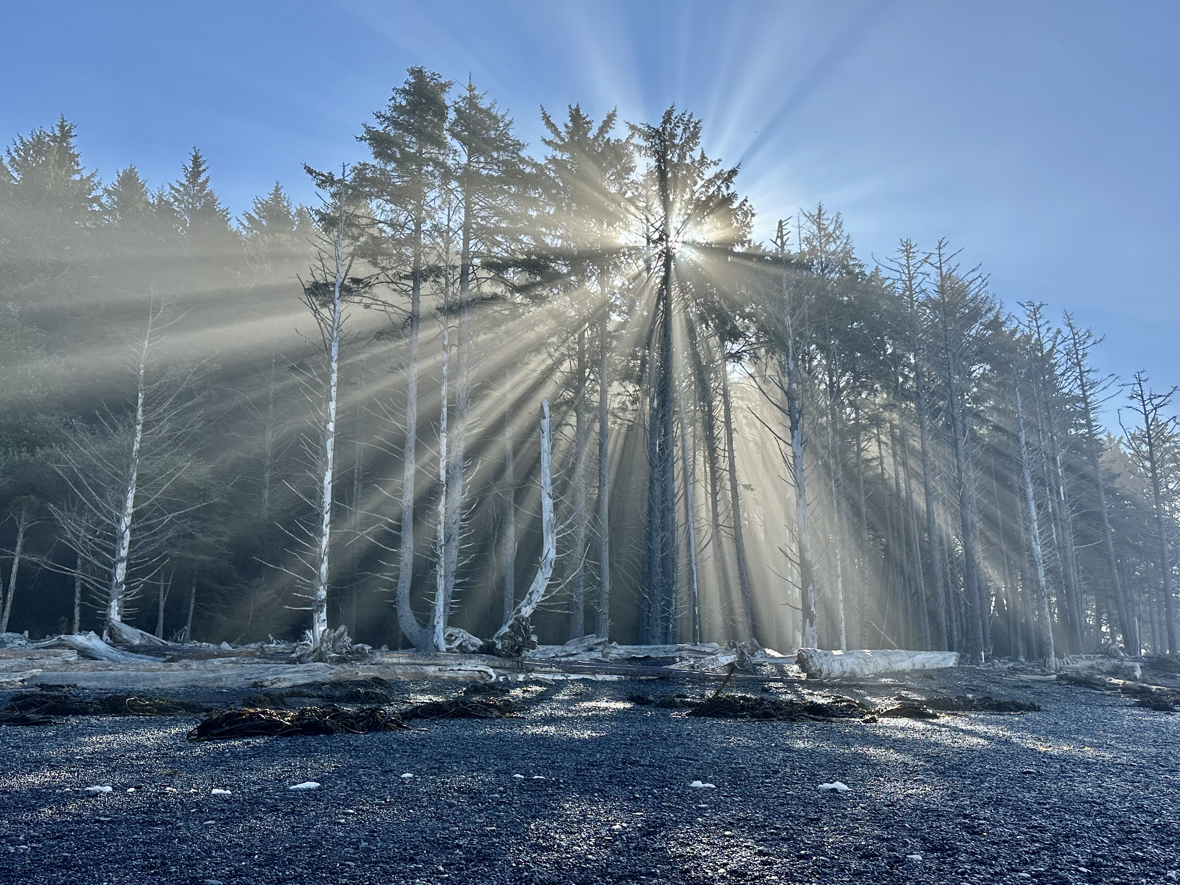 Olympic National Park in 5 Amazingly full days
