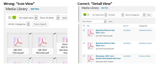 Wrong view/Right view