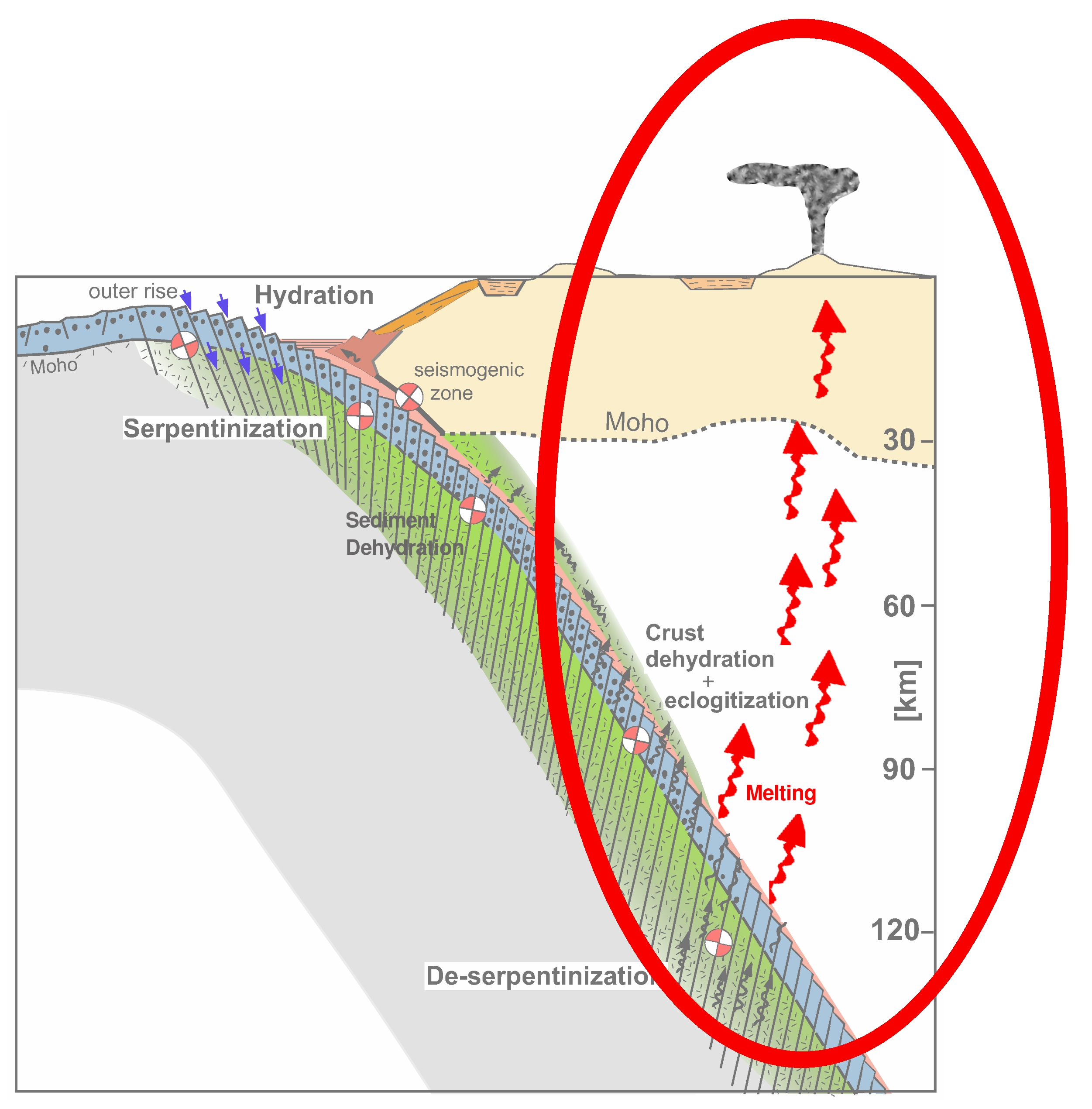 Subproject 2 Central Eastern Europe Trace - Nature Arts - Modern Mobile Collection