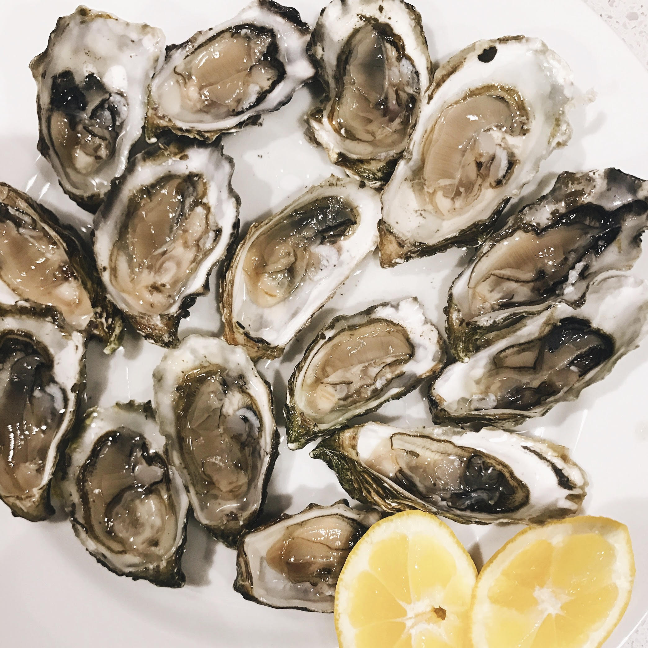 Processed with VSCO with a6 preset