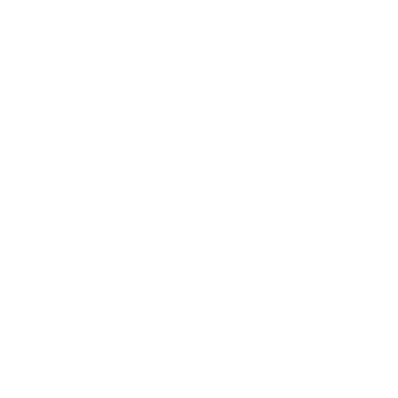 logo-big-white