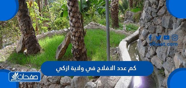 كم عدد الافلاج في ولاية ازكي