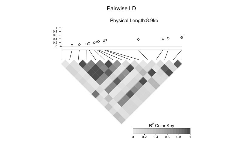 Cannot Install The Ldheatmap In R Version 4 2 3 Issue 12 - Gradient Picture Collection - High Resolution Quality