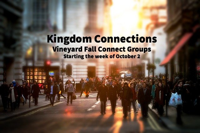 Connect Groups