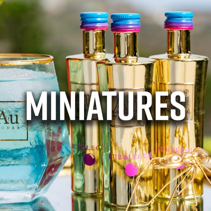 Vodka Slava E Alco Miniatures Collection - Premium Light Texture Gallery - Full HD