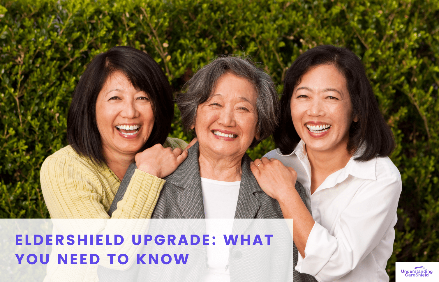 Understanding Careshield Article Feature Image (1)