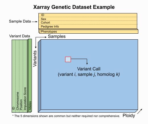 Sgkit Statistical Genetics Toolkit In Python Sgkit Documentation - Dark Arts - Beautiful 4K Collection