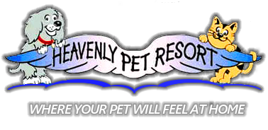 heavenly pet resort - best of the san gabriel valley on heavenly pet resort upland reviews