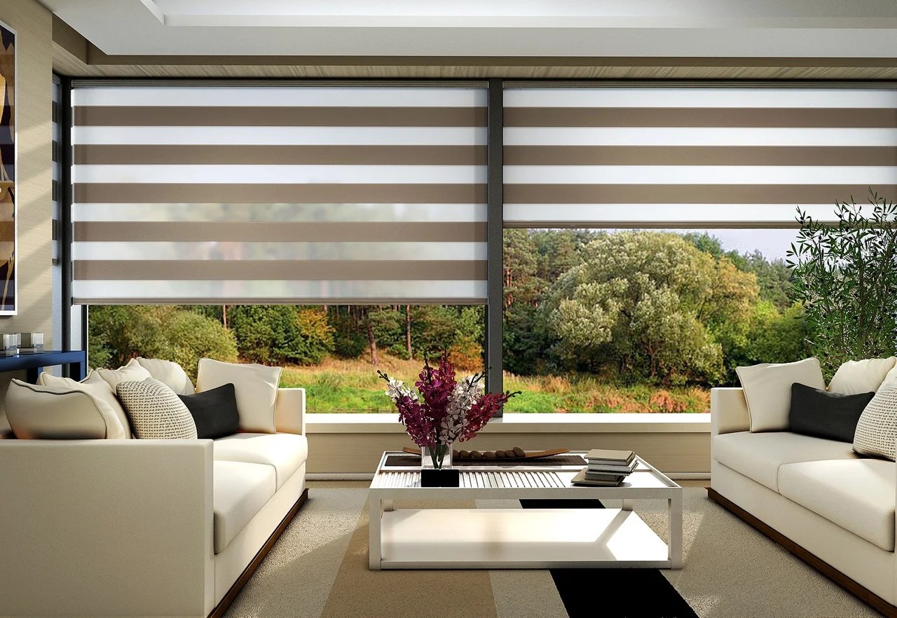 Vision roller blinds