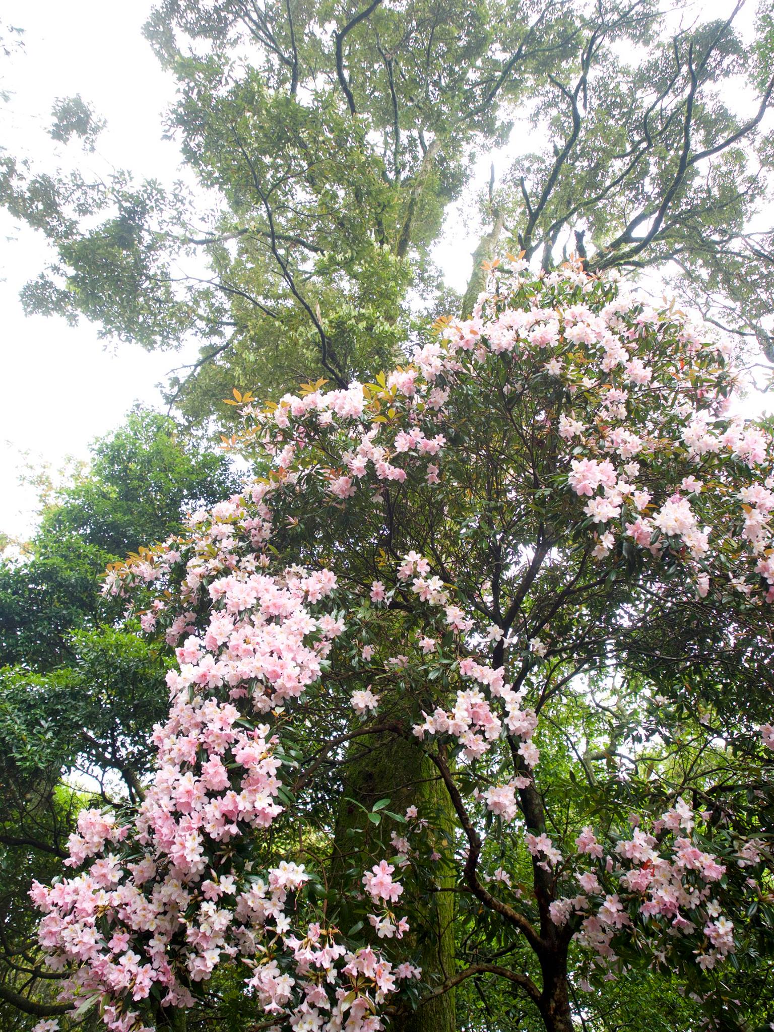 Photo by 郭熊