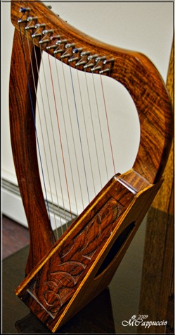 84. Theme 192 ~Musical Instrument~ | Shadows & Light