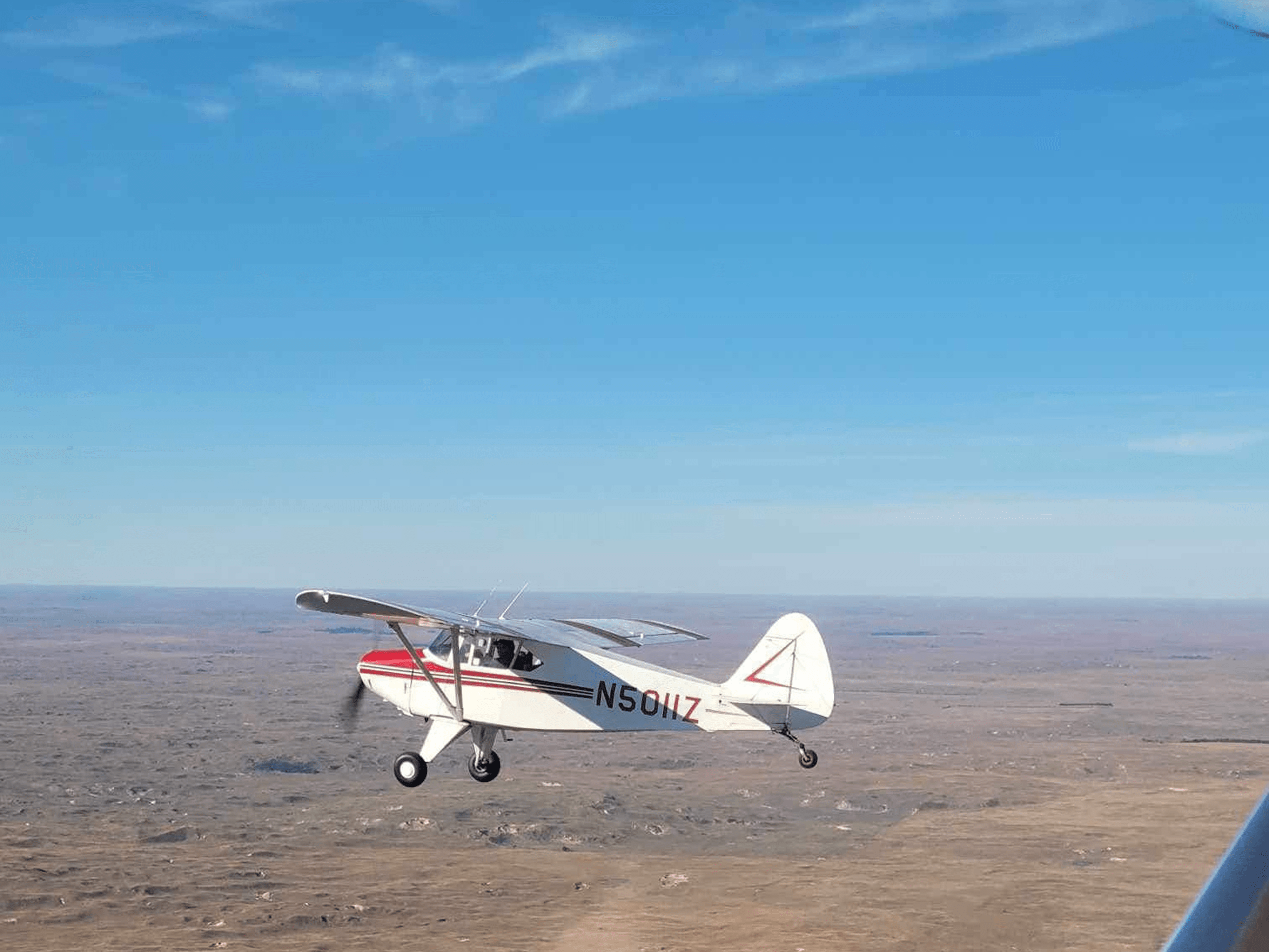 Turns black and white on hover