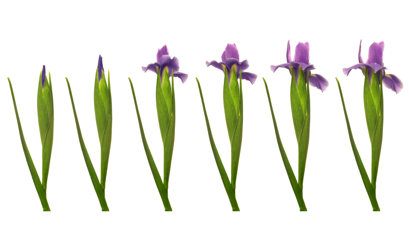 Shadow Work Patchstorage - Elegant Sunset Picture - Ultra HD