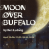 Moon Over Buffalo – Whitby Courthouse Theatre – April 2016