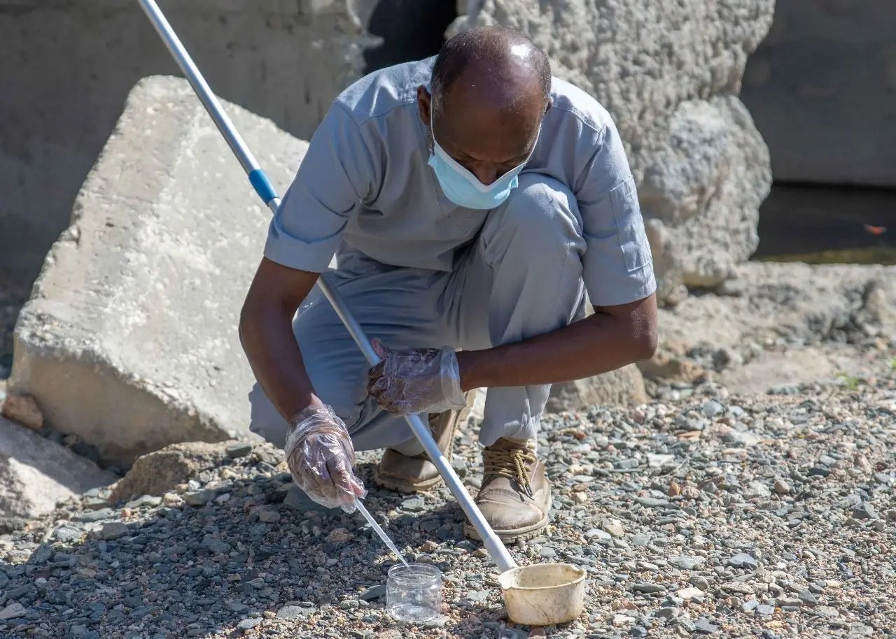 فرق أمانة الطائف تعالج 574 مستنقعاً وبركة مائية لاحتواء المهددات البيئية