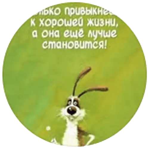 parent at Shahov Animation School