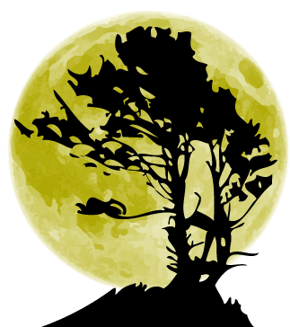 Shakin the Trees Multimedia